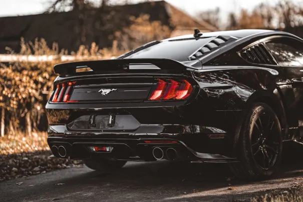 곰블링고 카지노 안드로이드/iOS 앱